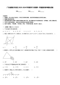 广东省肇庆市名校2023-2024学年数学八年级第一学期期末联考模拟试题含答案