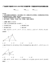 广东省湛江市雷州市2023-2024学年八年级数学第一学期期末教学质量检测模拟试题含答案