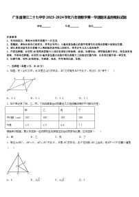 广东省湛江二十七中学2023-2024学年八年级数学第一学期期末监测模拟试题含答案