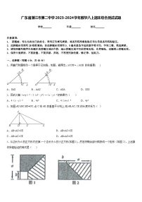 广东省湛江市第二中学2023-2024学年数学八上期末综合测试试题含答案