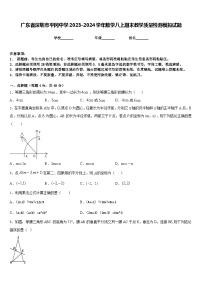 广东省深圳市平冈中学2023-2024学年数学八上期末教学质量检测模拟试题含答案