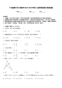 广东省湛江市三校联考2023-2024学年八上数学期末复习检测试题含答案