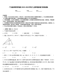 广东省深圳市罗湖区2023-2024学年八上数学期末复习检测试题含答案