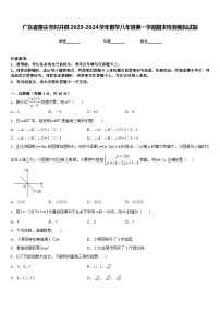 广东省肇庆市封开县2023-2024学年数学八年级第一学期期末检测模拟试题含答案