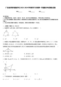 广东省深圳外国语学校2023-2024学年数学八年级第一学期期末考试模拟试题含答案