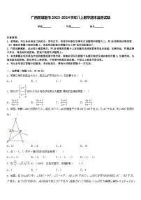 广西防城港市2023-2024学年八上数学期末监测试题含答案