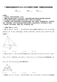 广西柳州市壶西实验中学2023-2024学年数学八年级第一学期期末质量检测试题含答案