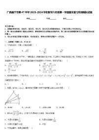 广西南宁市第47中学2023-2024学年数学八年级第一学期期末复习检测模拟试题含答案