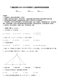 广西省北海市2023-2024学年数学八上期末教学质量检测试题含答案