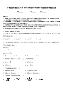 广西省北海市名校2023-2024学年数学八年级第一学期期末调研模拟试题含答案