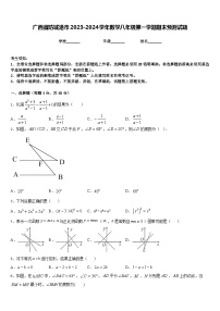 广西省防城港市2023-2024学年数学八年级第一学期期末预测试题含答案