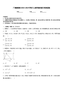 广西田阳县2023-2024学年八上数学期末复习检测试题含答案