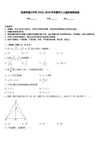 杭州市建兰中学2023-2024学年数学八上期末调研试题含答案