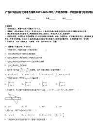 广西壮族自治区北海市合浦县2023-2024学年八年级数学第一学期期末复习检测试题含答案