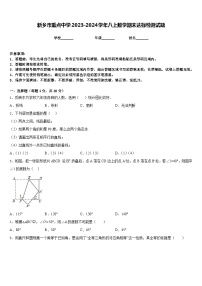 新乡市重点中学2023-2024学年八上数学期末达标检测试题含答案