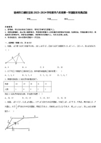 扬州市江都区实验2023-2024学年数学八年级第一学期期末经典试题含答案