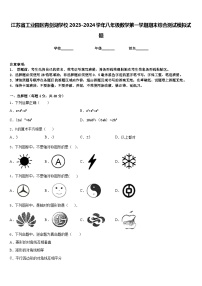 江苏省工业园区青剑湖学校2023-2024学年八年级数学第一学期期末综合测试模拟试题含答案