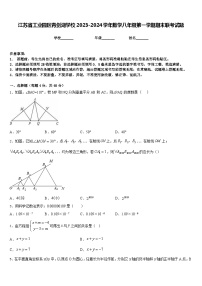 江苏省工业园区青剑湖学校2023-2024学年数学八年级第一学期期末联考试题含答案