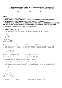 江苏省南京师范大附中江宁分校2023-2024学年数学八上期末调研试题含答案