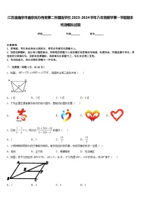 江苏省南京市南京民办育英第二外国语学校2023-2024学年八年级数学第一学期期末检测模拟试题含答案