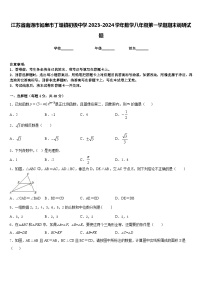 江苏省南通市如皋市丁堰镇初级中学2023-2024学年数学八年级第一学期期末调研试题含答案