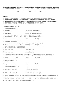 江苏省泰兴市黄桥东区域2023-2024学年数学八年级第一学期期末综合测试模拟试题含答案