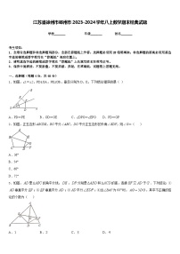 江苏省徐州市邳州市2023-2024学年八上数学期末经典试题含答案