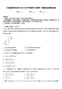 江苏省扬州市仪征市2023-2024学年数学八年级第一学期期末监测模拟试题含答案