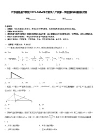 江苏省扬州市教院2023-2024学年数学八年级第一学期期末调研模拟试题含答案