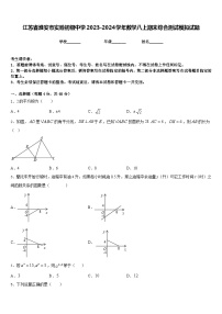 江苏省淮安市实验初级中学2023-2024学年数学八上期末综合测试模拟试题含答案