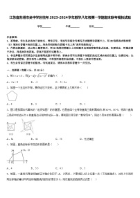 江苏省苏州市吴中学区统考2023-2024学年数学八年级第一学期期末联考模拟试题含答案