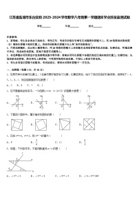 江苏省盐城市东台实验2023-2024学年数学八年级第一学期期末学业质量监测试题含答案