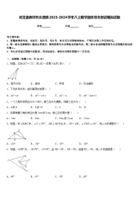 河北省廊坊市永清县2023-2024学年八上数学期末综合测试模拟试题含答案