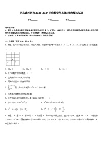 河北省沙河市2023-2024学年数学八上期末统考模拟试题含答案