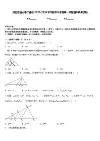 河北省唐山市丰南区2023-2024学年数学八年级第一学期期末统考试题含答案