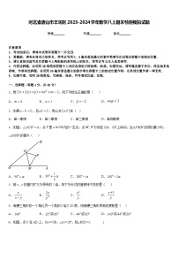 河北省唐山市丰润区2023-2024学年数学八上期末检测模拟试题含答案