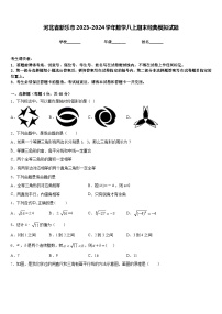 河北省新乐市2023-2024学年数学八上期末经典模拟试题含答案