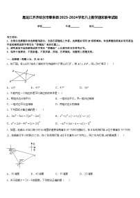 黑龙江齐齐哈尔市泰来县2023-2024学年八上数学期末联考试题含答案