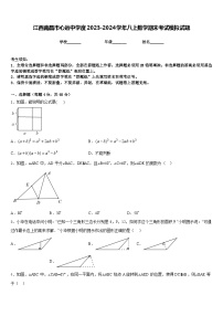 江西南昌市心远中学度2023-2024学年八上数学期末考试模拟试题含答案