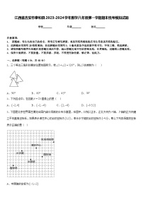 江西省吉安市泰和县2023-2024学年数学八年级第一学期期末统考模拟试题含答案