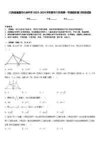 江西省南昌市心远中学2023-2024学年数学八年级第一学期期末复习检测试题含答案