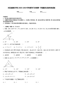 河北省部分学校2023-2024学年数学八年级第一学期期末达标检测试题含答案