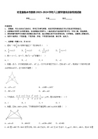 河北省衡水市景县2023-2024学年八上数学期末达标检测试题含答案