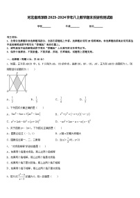 河北省鸡泽县2023-2024学年八上数学期末质量检测试题含答案