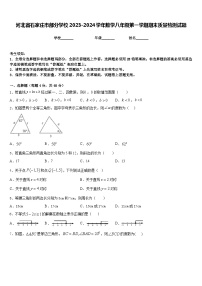 河北省石家庄市部分学校2023-2024学年数学八年级第一学期期末质量检测试题含答案