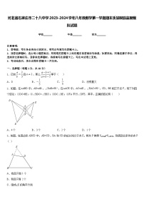 河北省石家庄市二十八中学2023-2024学年八年级数学第一学期期末质量跟踪监视模拟试题含答案