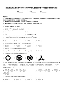 河北省石家庄市辛集市2023-2024学年八年级数学第一学期期末调研模拟试题含答案