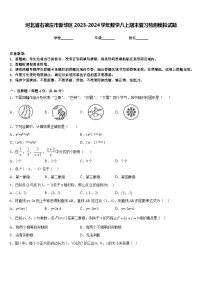 河北省石家庄市新华区2023-2024学年数学八上期末复习检测模拟试题含答案