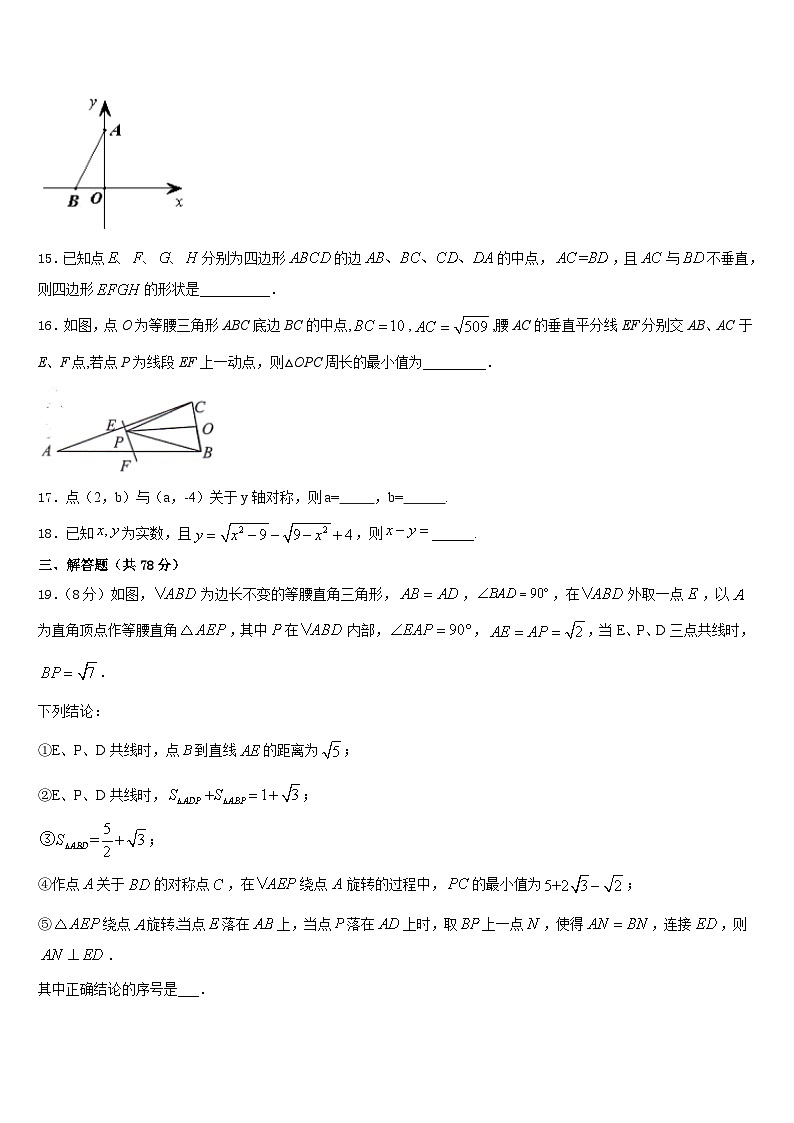 河北省石家庄市新华区2023-2024学年数学八上期末复习检测模拟试题含答案03