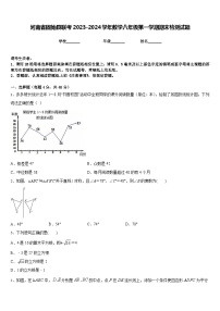 河南省固始县联考2023-2024学年数学八年级第一学期期末检测试题含答案